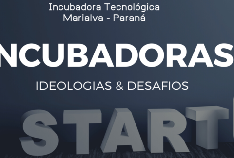 Incubadoras - Ideologias & Desafios