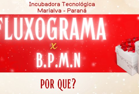 FLUXOGRAMA x B.P.M. POR QUE?